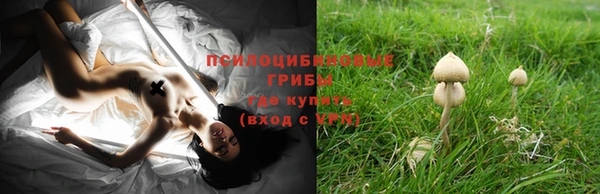 трава Ладушкин
