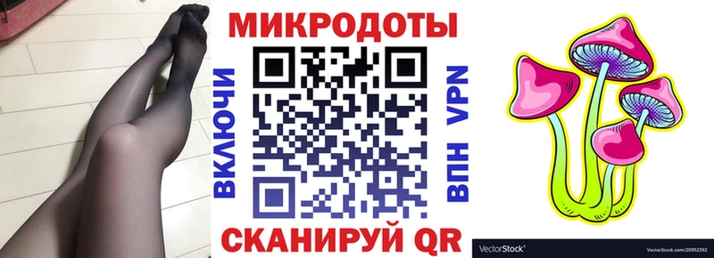 Псилоцибиновые грибы Psilocybe  где купить   Бокситогорск 